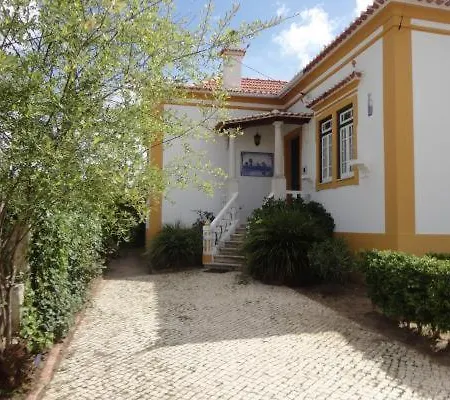 Violeta Com Chamine *