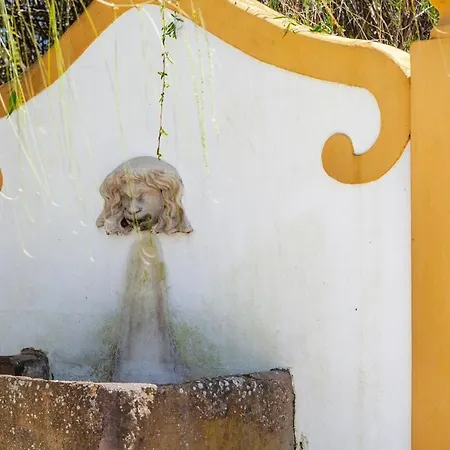 Violeta Com Chamine *