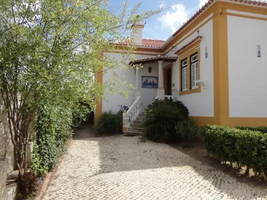 Violeta Com Chamine *