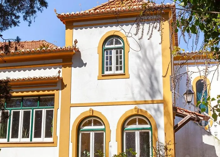 Violeta Com Chamine Ramalhal