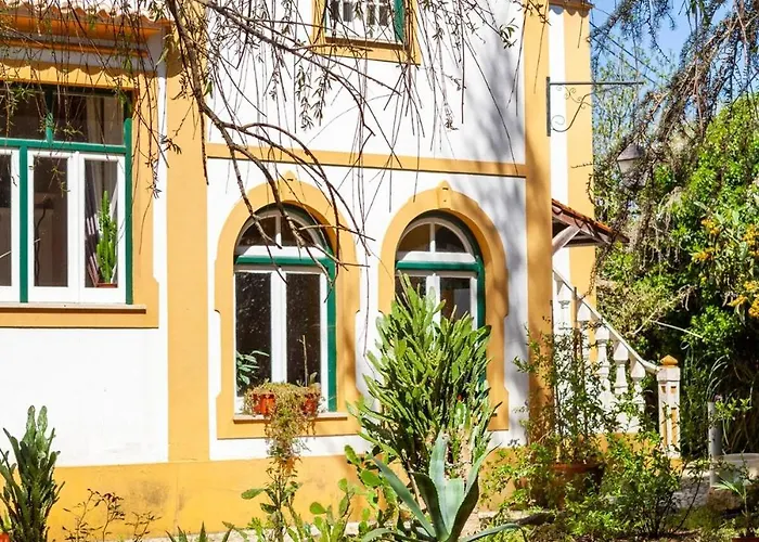 Violeta Com Chamine * Ramalhal